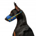 Collar Waudog Nylon Намордник для собак с пластиковым фастексом, рисунок "Colors of freedom" фото