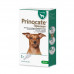 Prinocate (Принокат) краплі на холку від бліх, кліщів та гельмінтів для собак до 4 кг фото