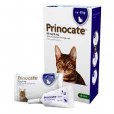Prinocate (Принокат) краплі на холку від бліх, кліщів та гельмінтів для котів 4-8 кг