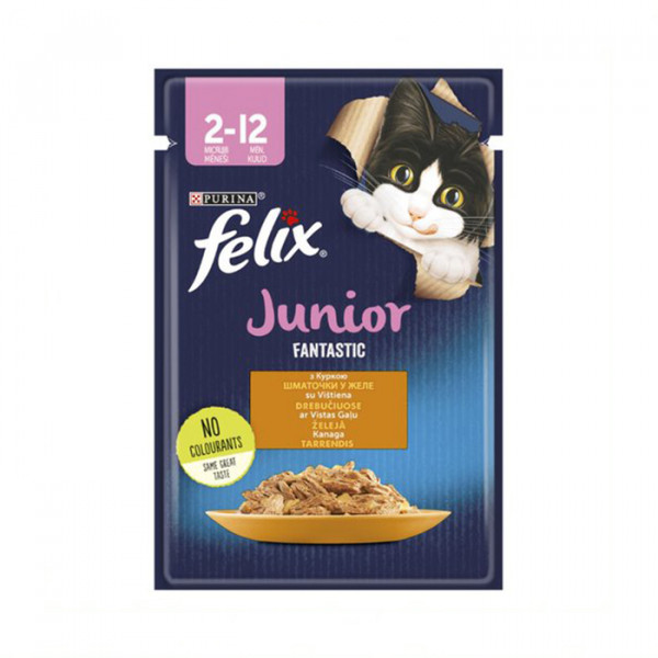 Felix Fantastic для кошенят з куркою в желе фото