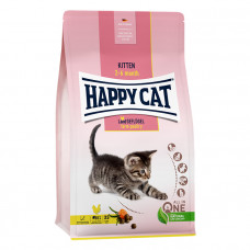 Happy Cat Kitten Geflugel