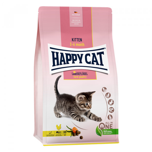 Happy Cat Kitten Geflugel фото