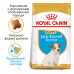 Royal Canin Jack Russell Terrier Puppy сухий корм для цуценят породи джек-рассел-тер'єр фото
