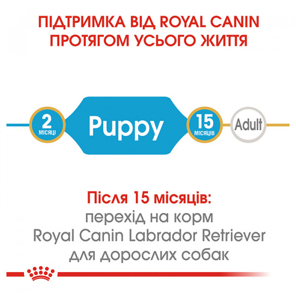 Royal Canin Labrador Puppy сухий корм для цуценят породи лабрадор-ретрівер фото