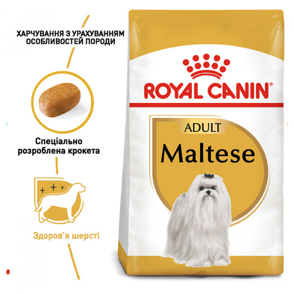 Royal Canin Maltese Adult сухой корм для собак породы мальтийская болонка фото
