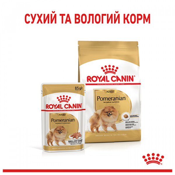 Royal Canin Pomeranian Adult сухой корм для собак породы померанский шпиц фото