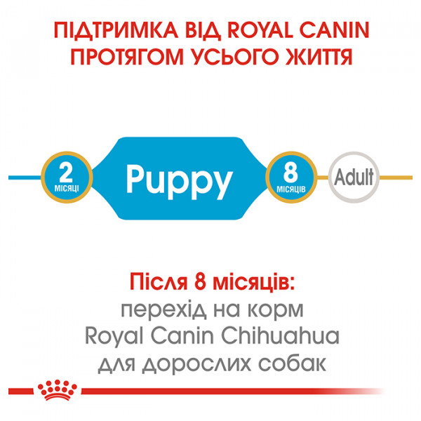 Royal Canin Puppy Chihuahua сухой корм для щенков породы чихуахуа фото