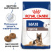 Royal Canin Maxi Ageing 8+ сухой корм для собак крупных пород в возрасте от 8 лет фото