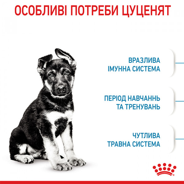 Royal Canin Maxi Puppy сухий корм для цуценят великих порід фото