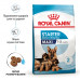 Royal Canin Maxi Starter сухий корм для собак великих порід наприкінці вагітності та в період лактації, а також для цуценят великих порід фото