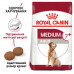 Royal Canin Medium Adult 7+ сухой корм для пожилых собак средних пород старше 7 лет фото