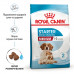 Royal Canin Medium Starter сухий корм для собак середніх порід наприкінці вагітності та в період лактації, а також для цуценят середніх порід фото