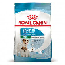 Royal Canin Mini Starter сухой корм для собак маленьких и миниатюрных пород в конце беременности и в период лактации, а также для щенков маленьких и миниатюрных пород