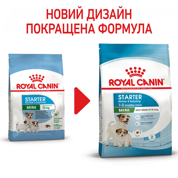 Royal Canin Mini Starter сухой корм для собак маленьких и миниатюрных пород в конце беременности и в период лактации, а также для щенков маленьких и миниатюрных пород фото