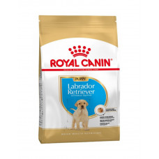 Royal Canin Labrador Puppy сухой корм для щенков породы лабрадор-ретривер