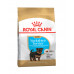 Royal Canin Yorkshire Terrier Puppy сухий корм для цуценят породи йоркширський тер'єр фото