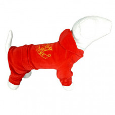 Dogs Bomba Велюровый костюм Джуси красный D-7