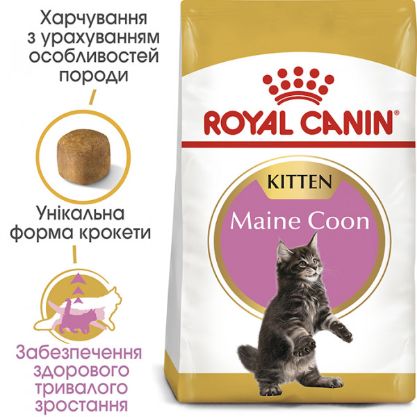 Royal Canin Maine Coon Kitten сухий корм для кошенят породи Мейн-Кун фото