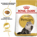 Royal Canin Persian Adult сухой корм для взрослых котов Персидской породы фото