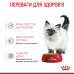 Royal Canin Kitten Instinctive in Jelly консерва для котят (кусочки в желе) фото