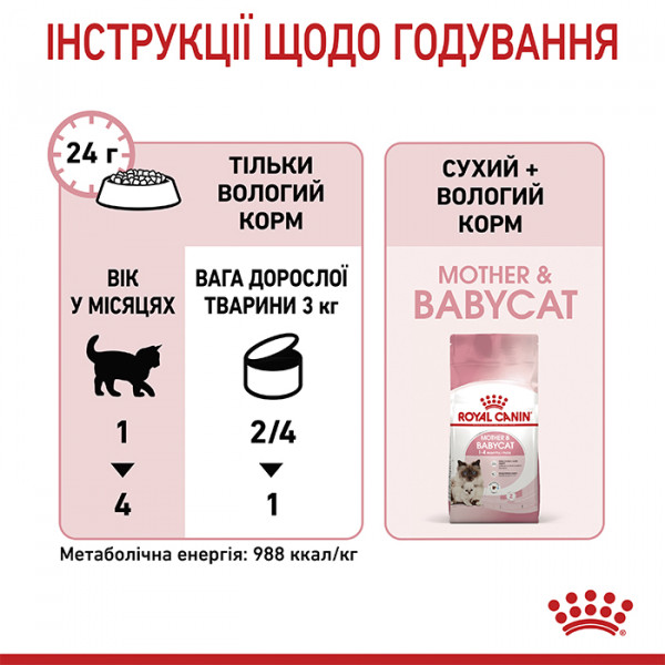 Royal Canin Babycat Instinctive консерва для беременных и кормящих кошек и котят с 1 до 4 месяцев фото