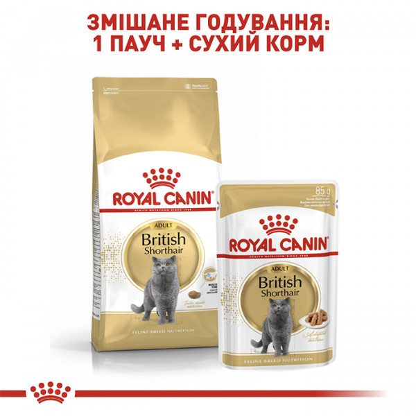Royal Canin British Shorthair Adult консерва для дорослих котів Британської короткошерстої породи фото