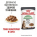 Royal Canin Digest Sensitive консерва для взрослых котов с чувствительным пищеварением (кусочки в соусе) фото