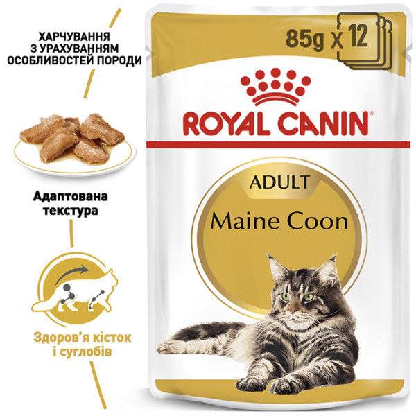 Royal Canin Maine Coon Adult косерва для дорослих котів породи Мейн-Кун фото