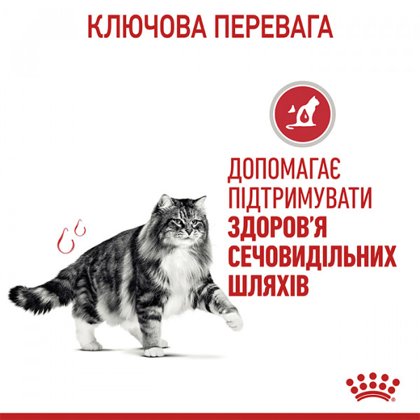 Royal Canin Urinary Care Gravy консерва для взрослых котов для поддержки здоровья мочевыделительной системы (кусочки в соусе) фото