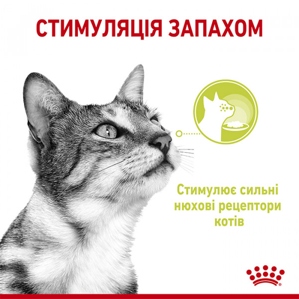 Royal Canin Sensory Smell in Gravy консерва для вибагливих котів (шматочки в соусі) фото