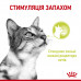 Royal Canin Sensory Smell in Jelly консерва для привередливых котов (кусочки в желе) фото