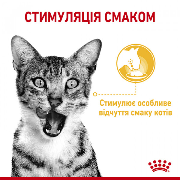 Royal Canin Sensory Taste in Gravy консерва для вибагливих котів (шматочки в соусі) фото