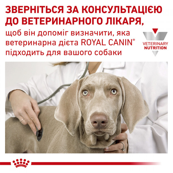 Royal Canin Hypoallergenic фото