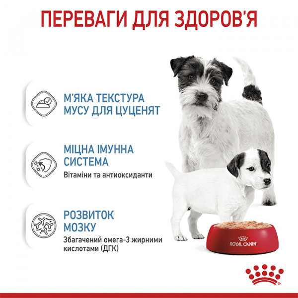 Royal Canin Starter Mousse консерва для цуценят всіх порід у період відлучення до 2-місячного віку фото