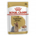 Royal Canin Yorkshire Terrier Adult консерва для собак породы йоркширский терьер фото