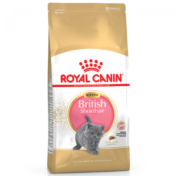 Royal Canin Kitten British Shorthair фото
