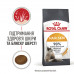 Royal Canin Hair & Skin 33 сухой корм для взрослых котов, для красивой кожи и шерсти фото