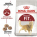 Royal Canin Fit 32 сухой корм для взрослых котов, гуляющих на улице фото