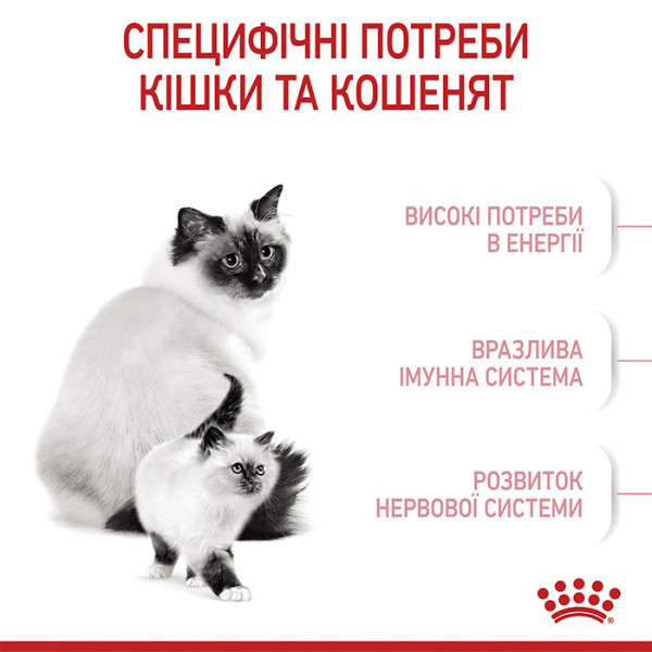 Royal Canin Mother & Babycat сухий корм для вагітних та годуючих кішок і кошенят від 1 до 4 місяців фото