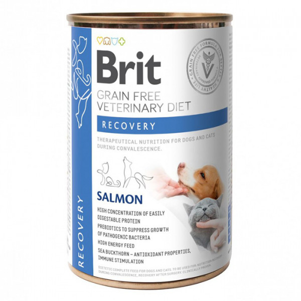 Brit Veterinary Diet Dog & Cat Recovery Лечебный влажный корм для собак и кошек, в период выздоровления, с лососем фото
